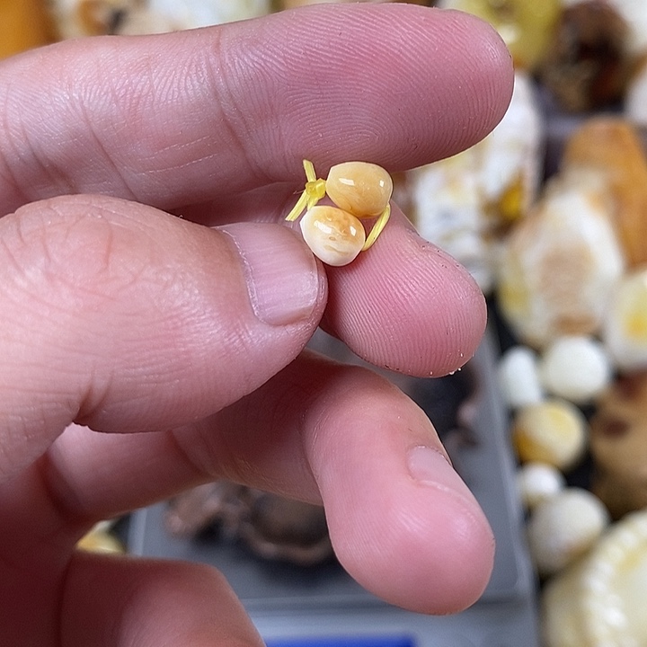 未镶嵌琥珀裸石我