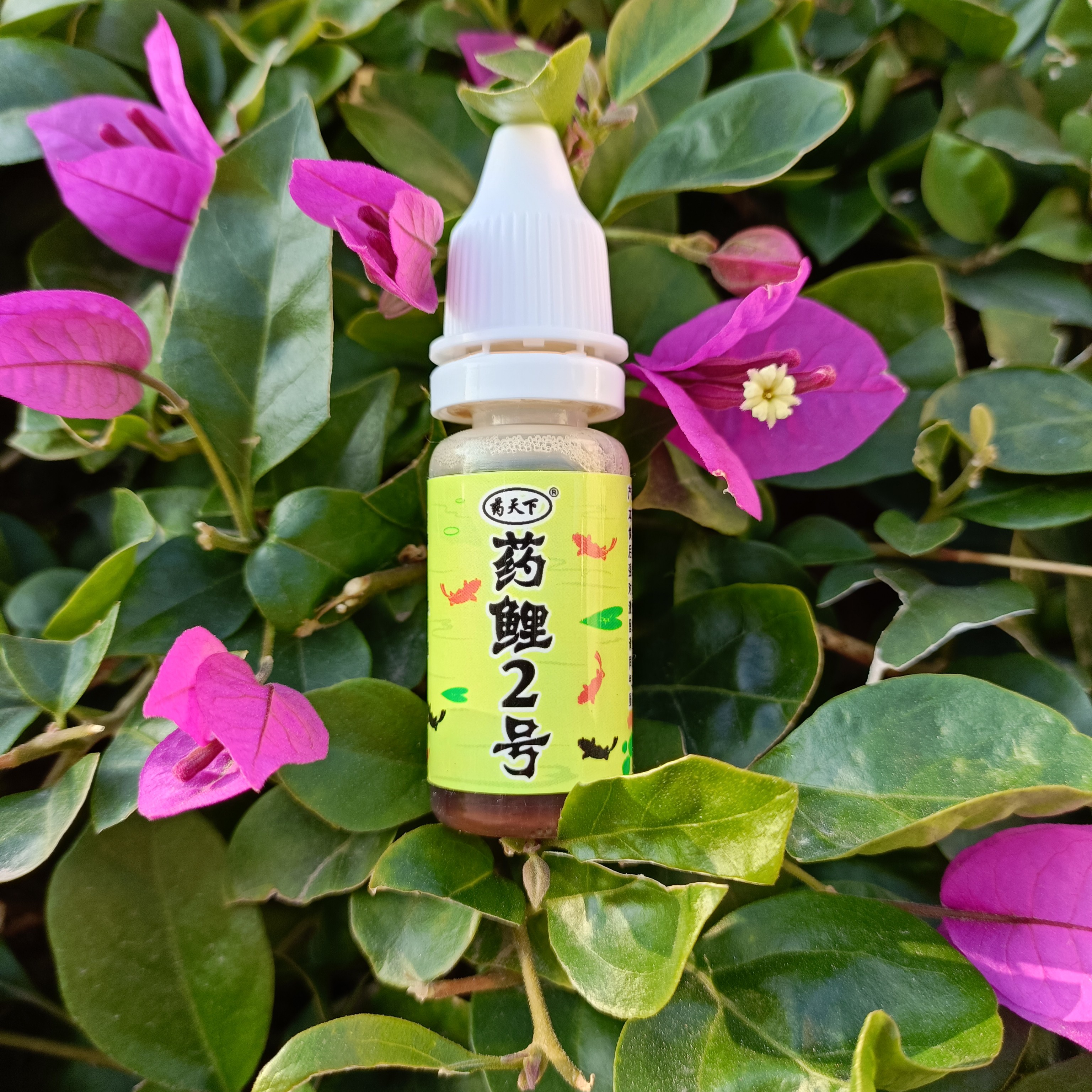 药天下香精 2号药鲤10ml 黑坑鲤鱼 综合鱼辅助添加剂诱食剂合集
