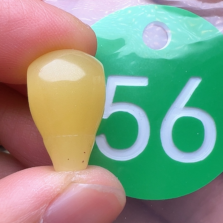 蜜蜡裸石未镶嵌皮点11m m