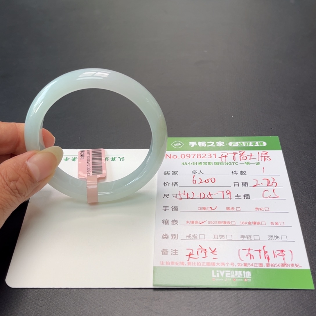 翡翠手镯未镶嵌多人