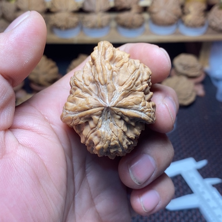 天***顺文玩核桃把件文玩