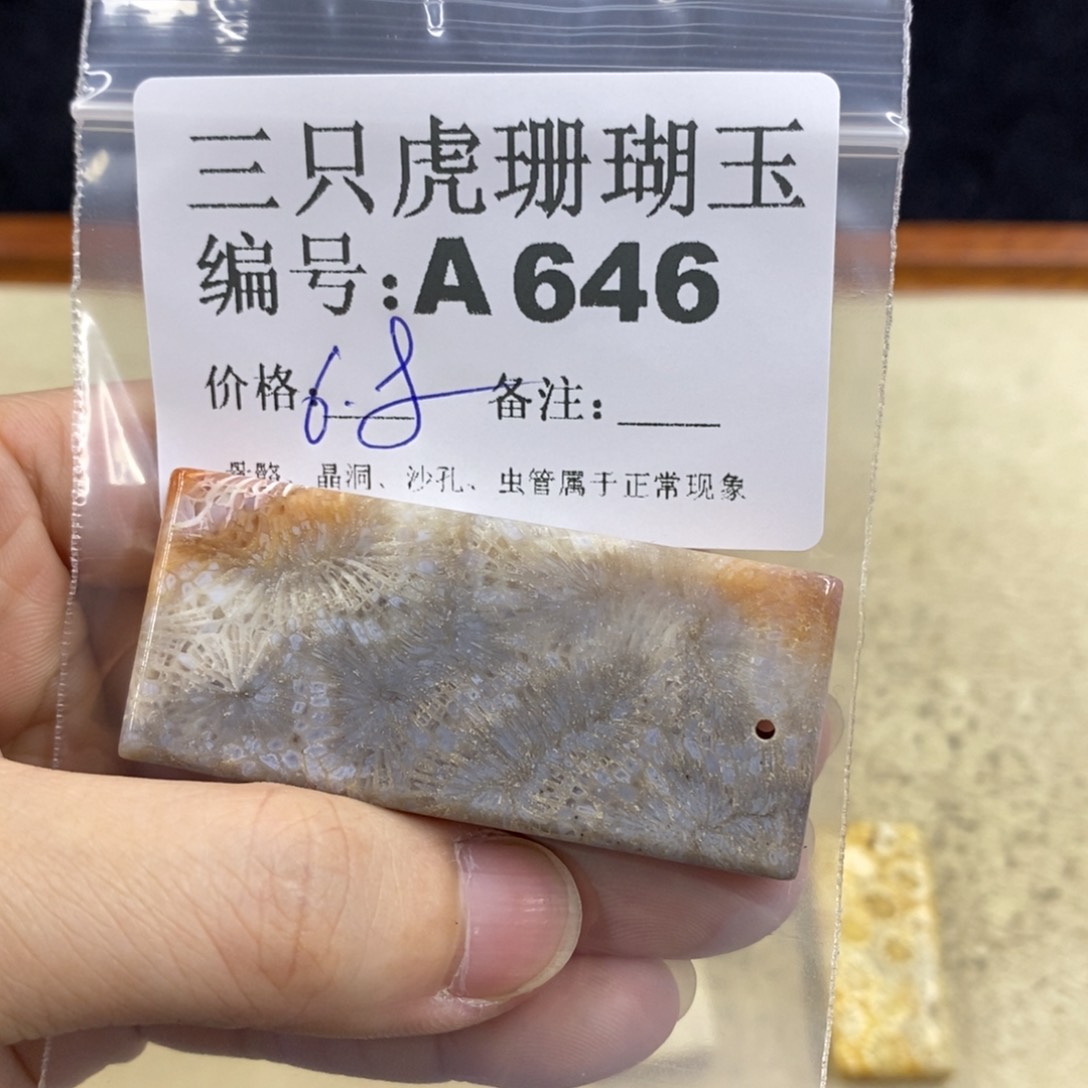 硅化珊瑚（珊瑚玉）1未镶嵌楠*素