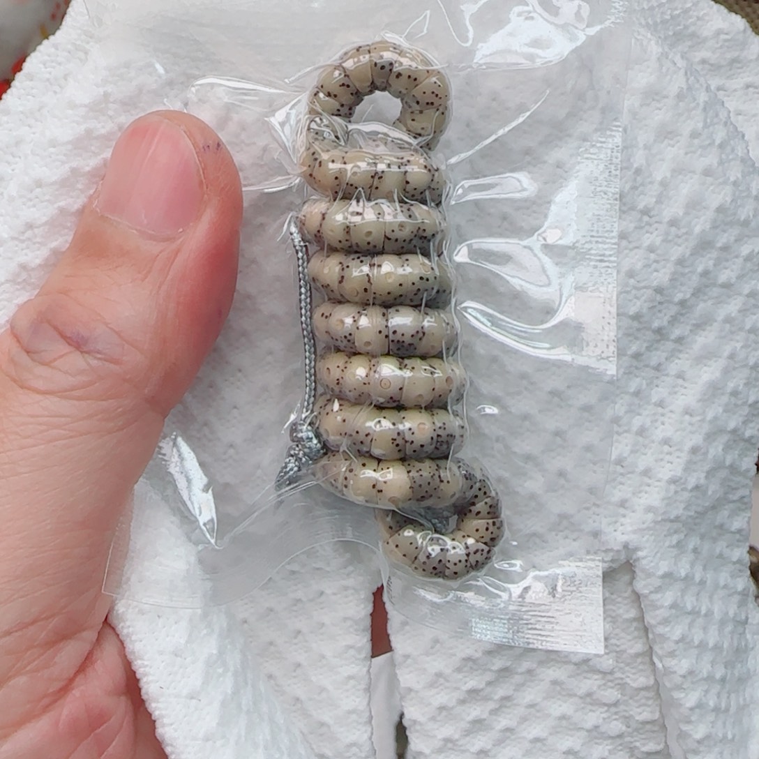 星月菩提手串糯冰手工大肠6mm