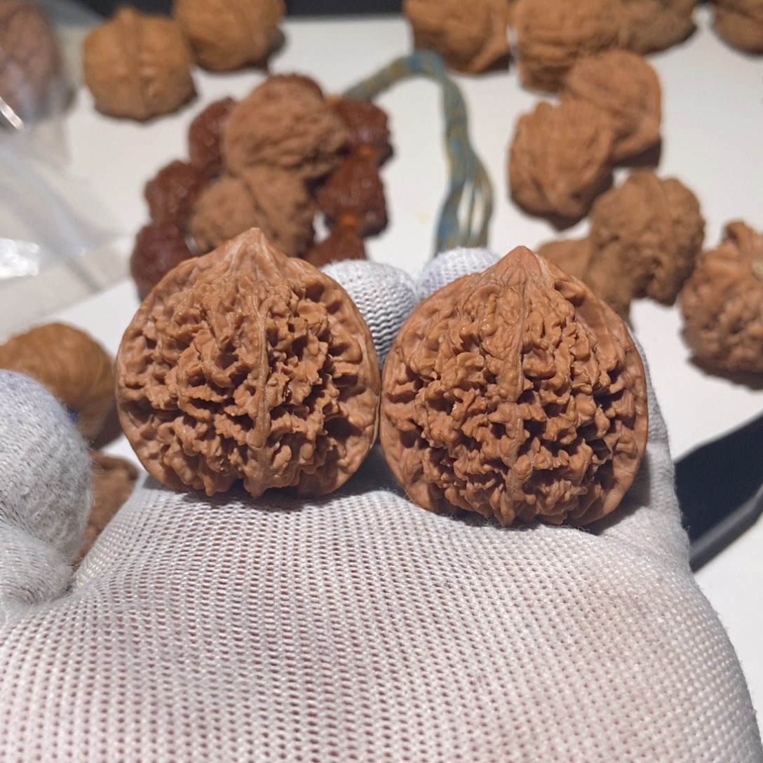 核桃满天星39尺寸