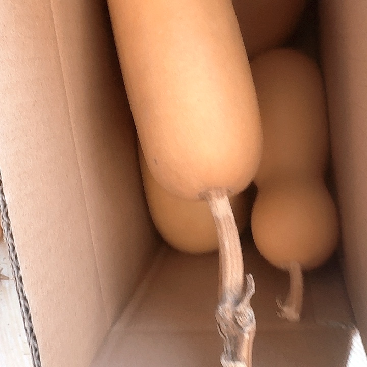 晓***笑葫芦冬瓜晓晓专属链接