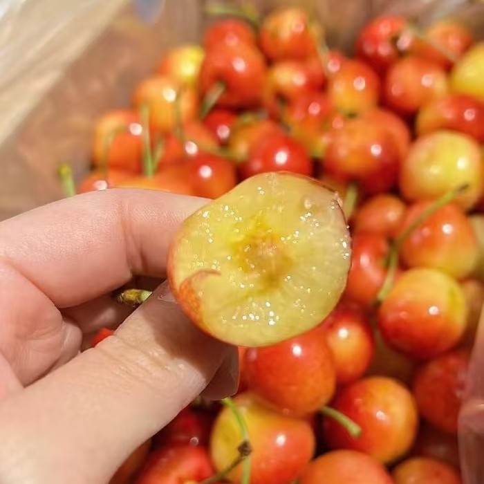 空运雷尼尔 JJJJ 车厘子 3-5 斤左右