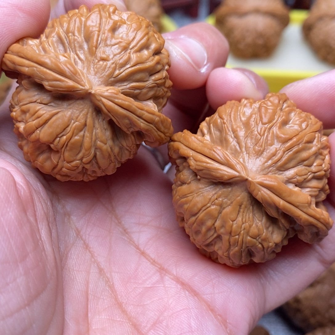 文玩核桃把件全品白狮子41尺