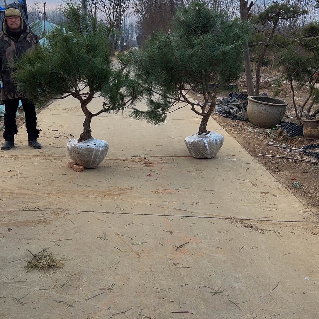 枫****)88888888888888888