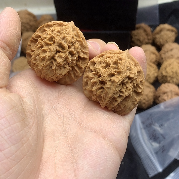 文玩核桃吊坠38 带尖盘龙纹