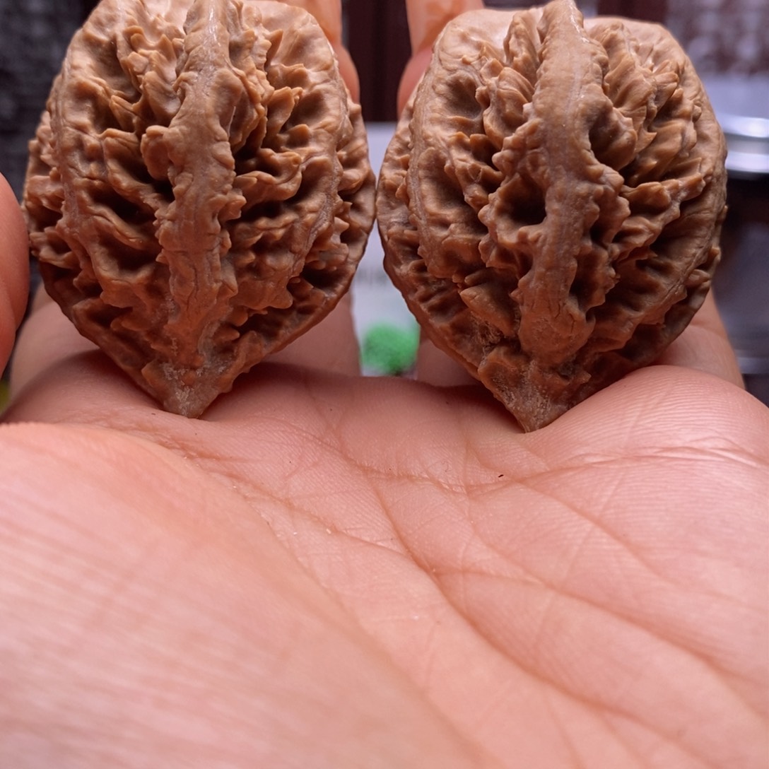 文玩核桃把件核桃209