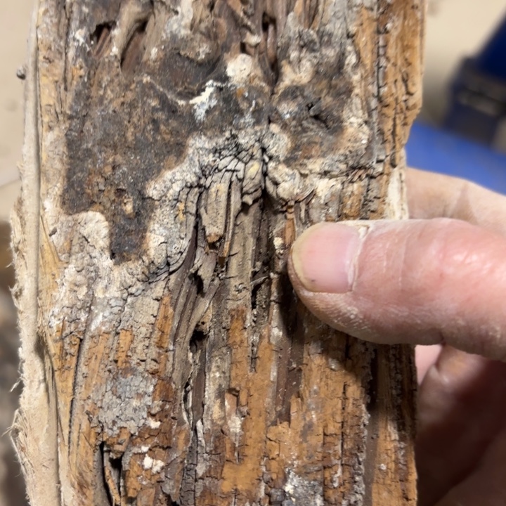 飞***龙有机玻璃太行崖柏