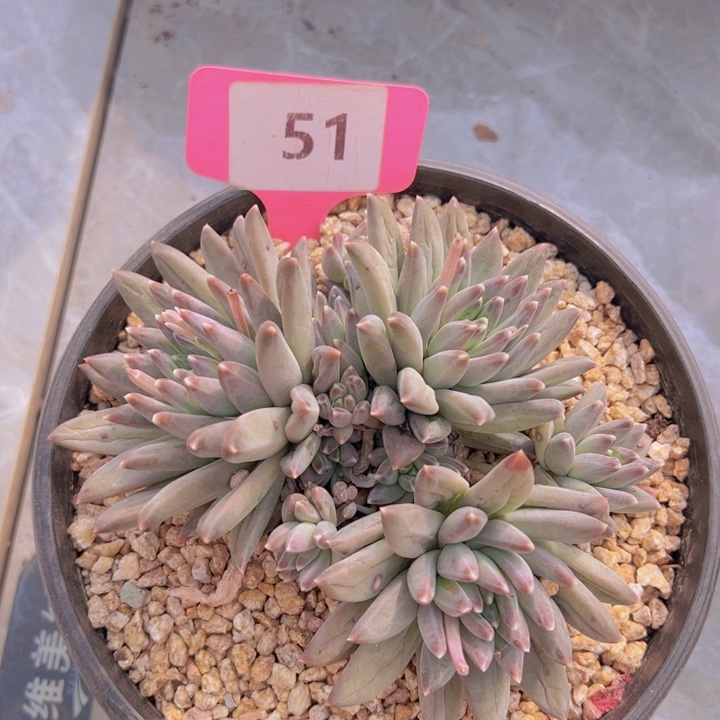 健健康康平平安安