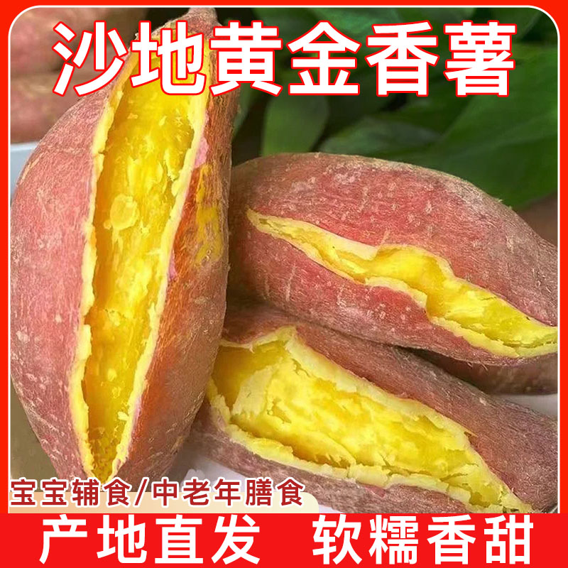 【买3斤送2斤】沙地黄金香薯香甜粉糯粗粮代餐烤地瓜黄心板栗红薯