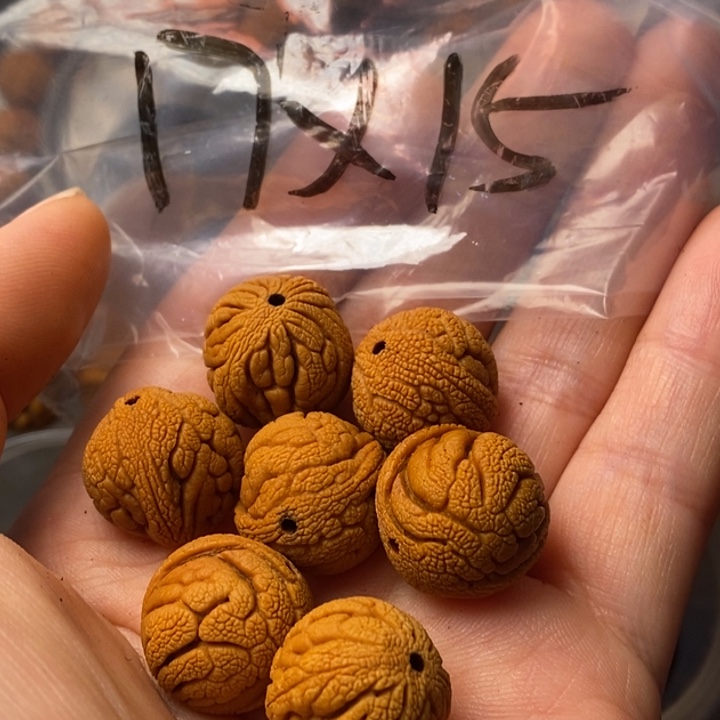 文玩核桃吊坠秦岭野生龙纹桃核17