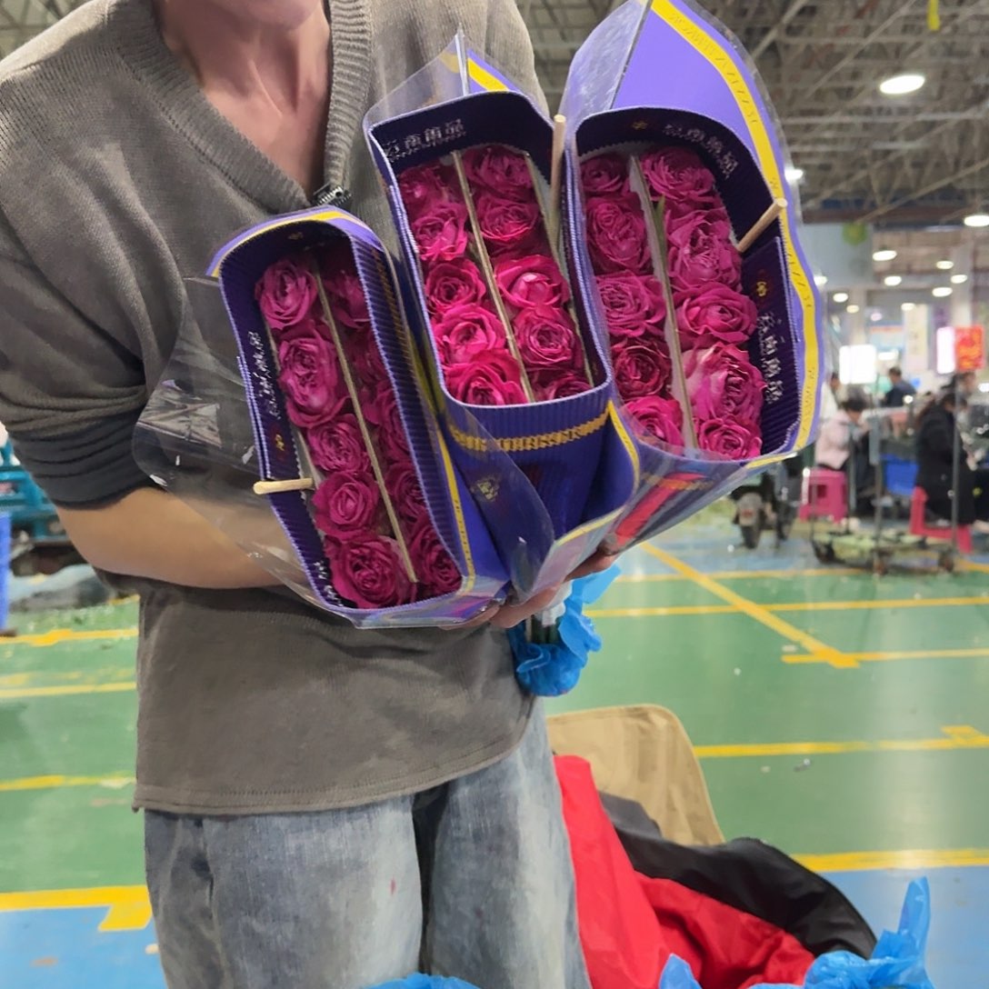 蔷品稀有单头玫瑰黑暗王冠10支