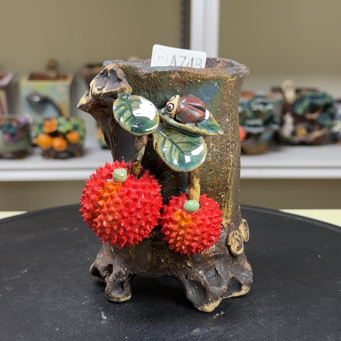 A748 【闪购】多肉花盆