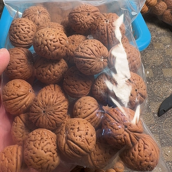 微***暖桃核吊坠66666666666666