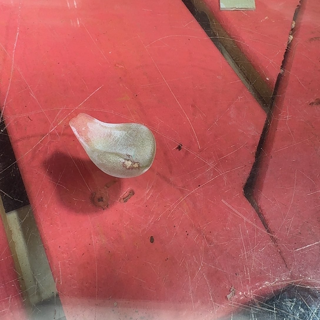 开播福利多肉植物盲盒01