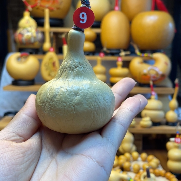 ****༊天然葫芦自然生长