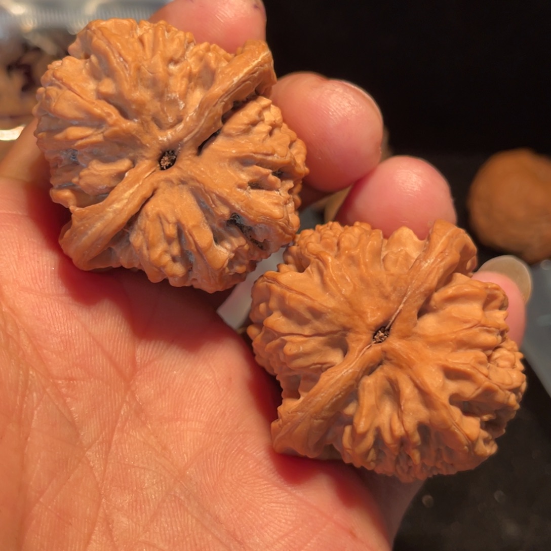 年***贝文玩核桃把件40尺全品蚂蚁沟