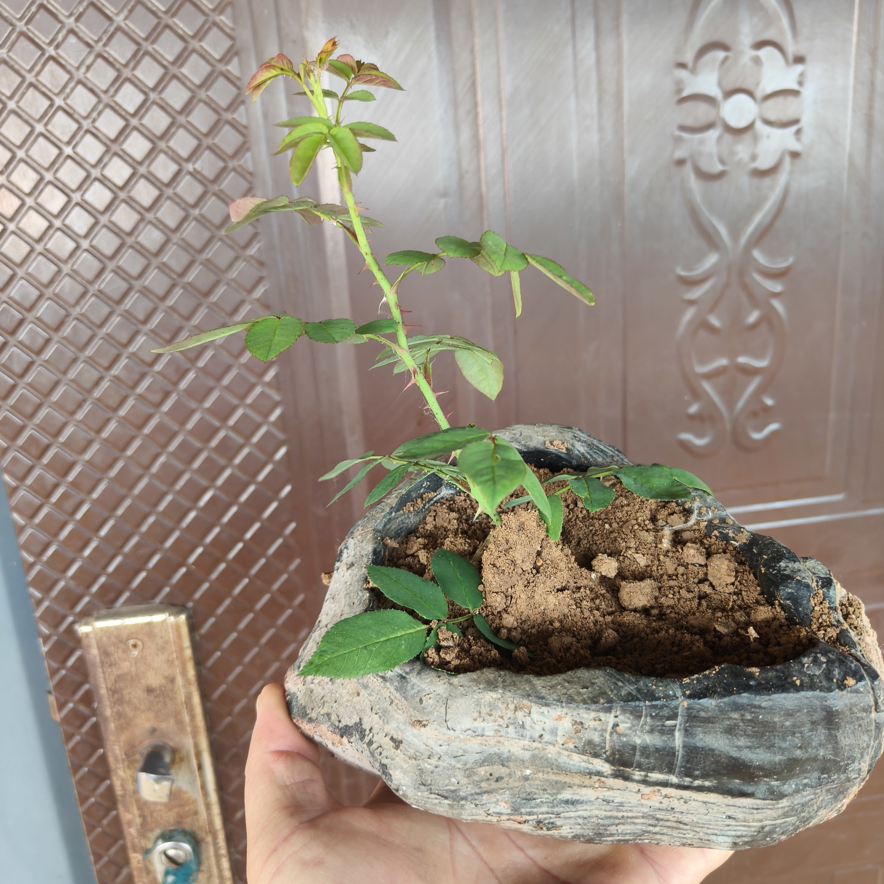 灵璧朝阳家居摆件装饰