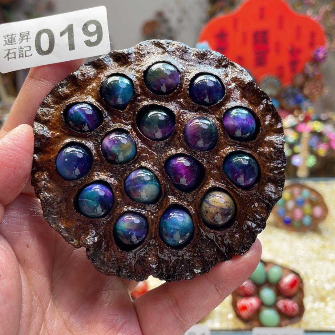 核桃木/黑胡桃（胡桃木）019