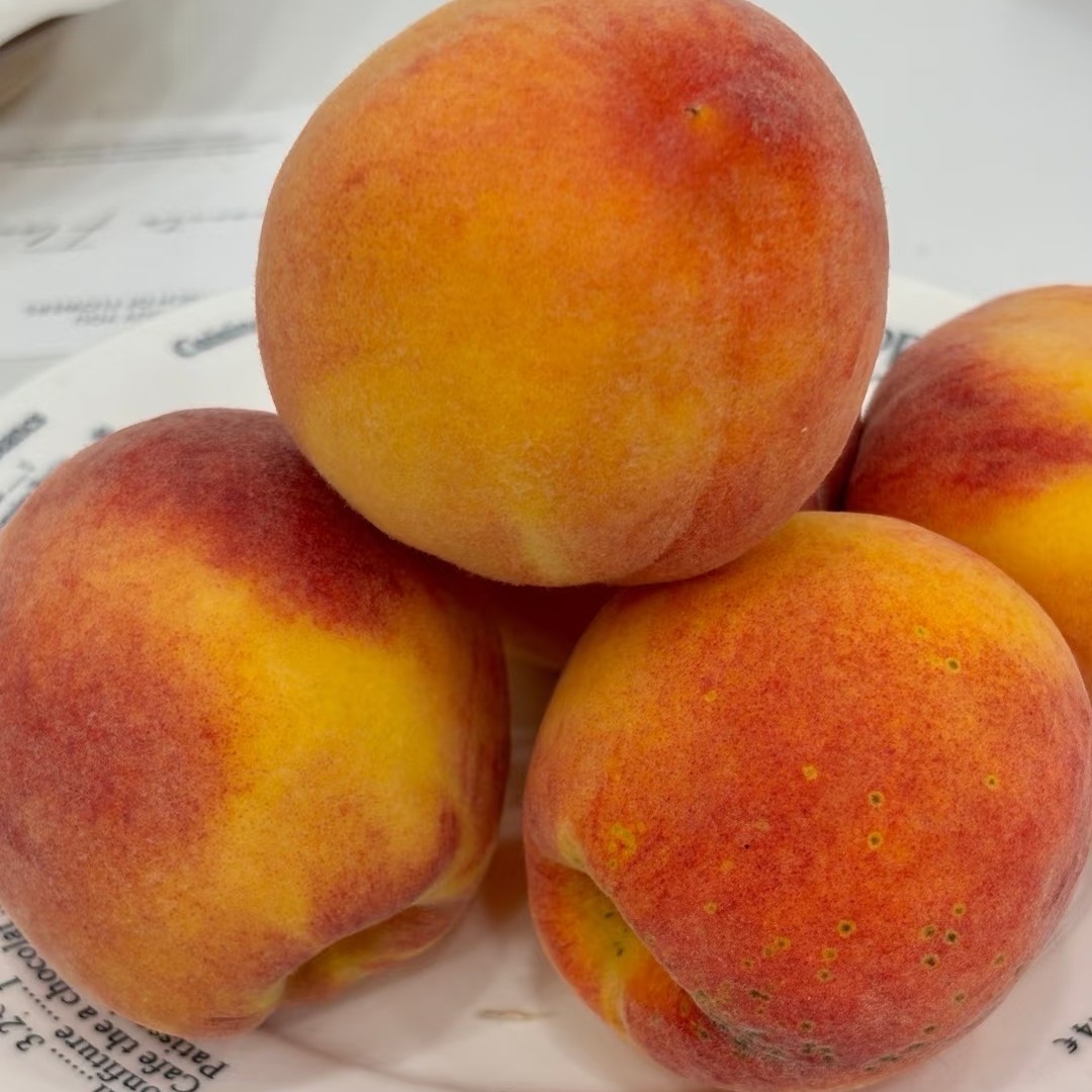 【富贵专属次日达】砀山精品麻油桃山西省