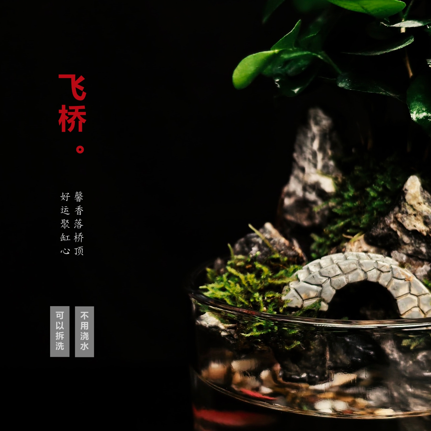 [飞桥2.0a]九里香可拆洗驱蚊真绿植国风摆件鱼缸微景观10*10cm