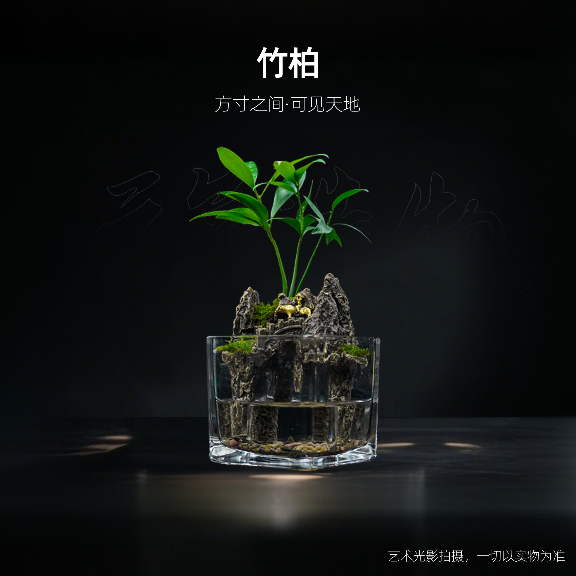 【十怡】牧童—精选竹柏成品整套真石成品真植物【尺寸：8*8】