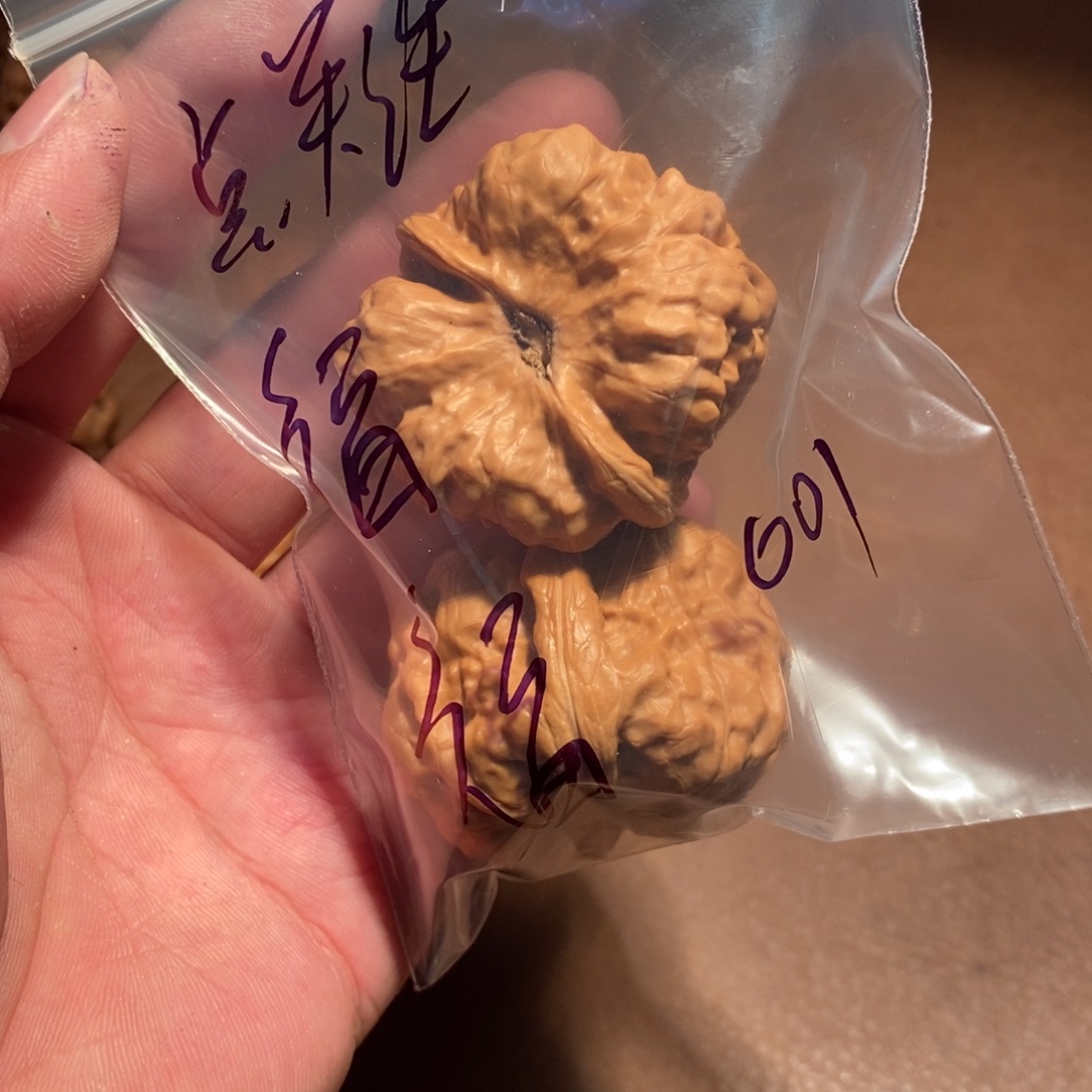 大***利手串/手链核桃001