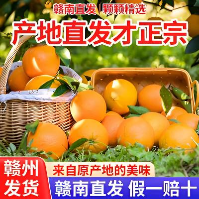 AN现摘正宗赣南脐橙应季水果新鲜橙子