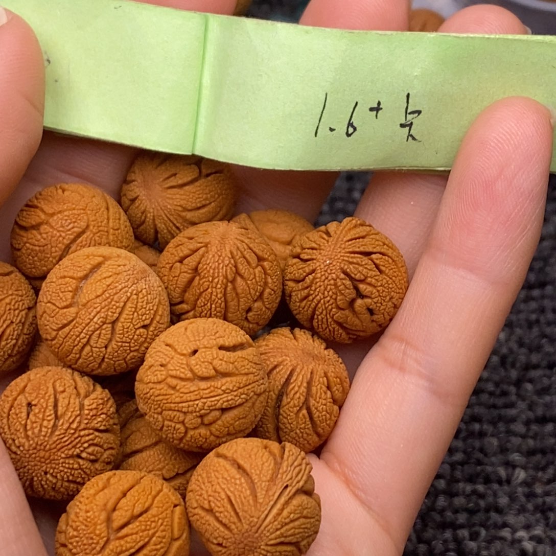 秦岭山脉龙纹桃核15