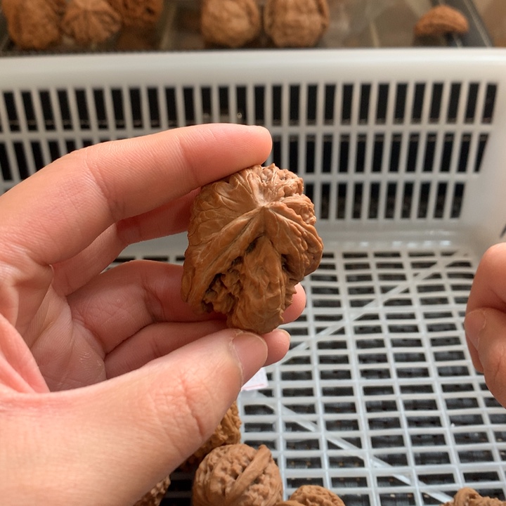 刚***子把件文玩核桃元宝