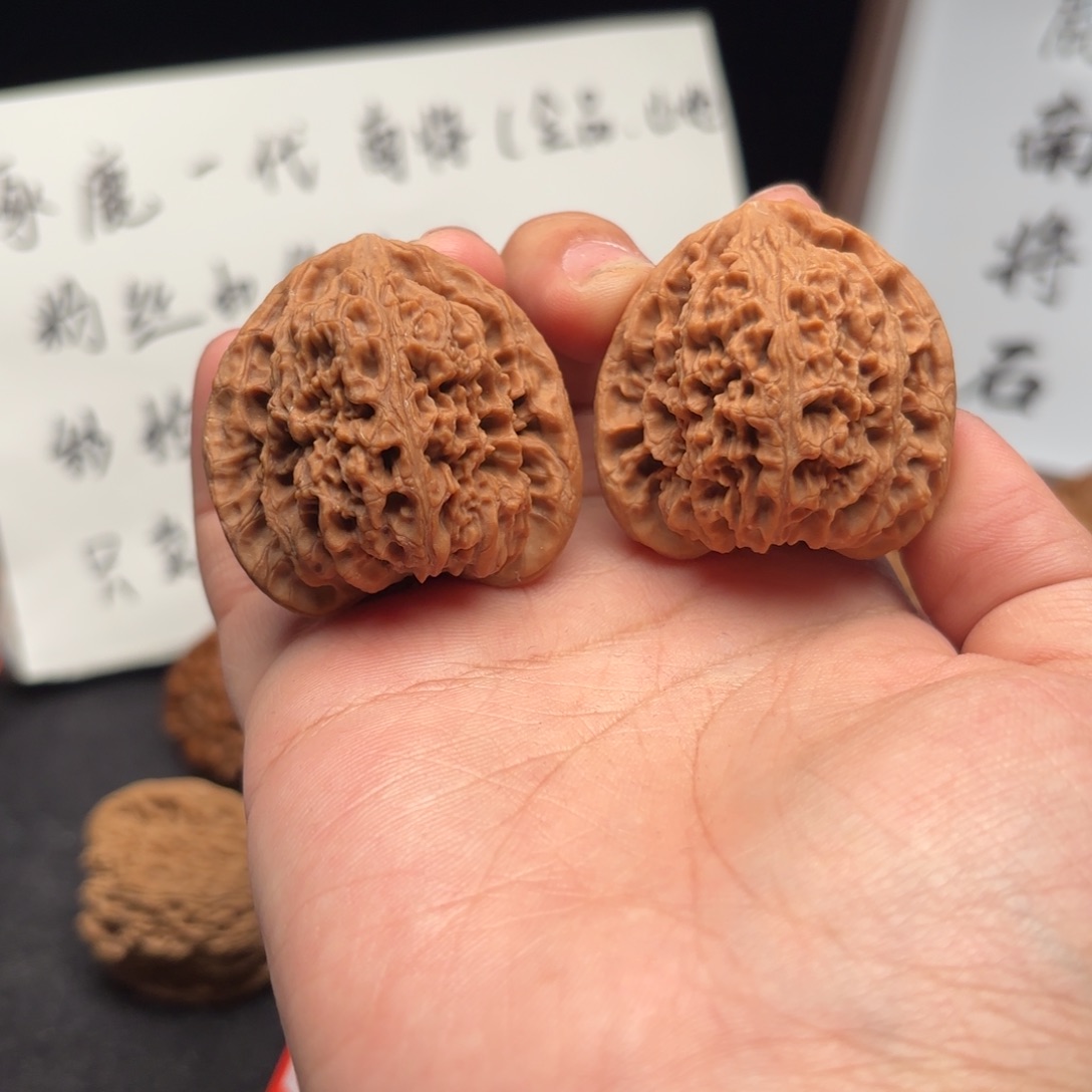 张***核桃涿鹿南疆一代