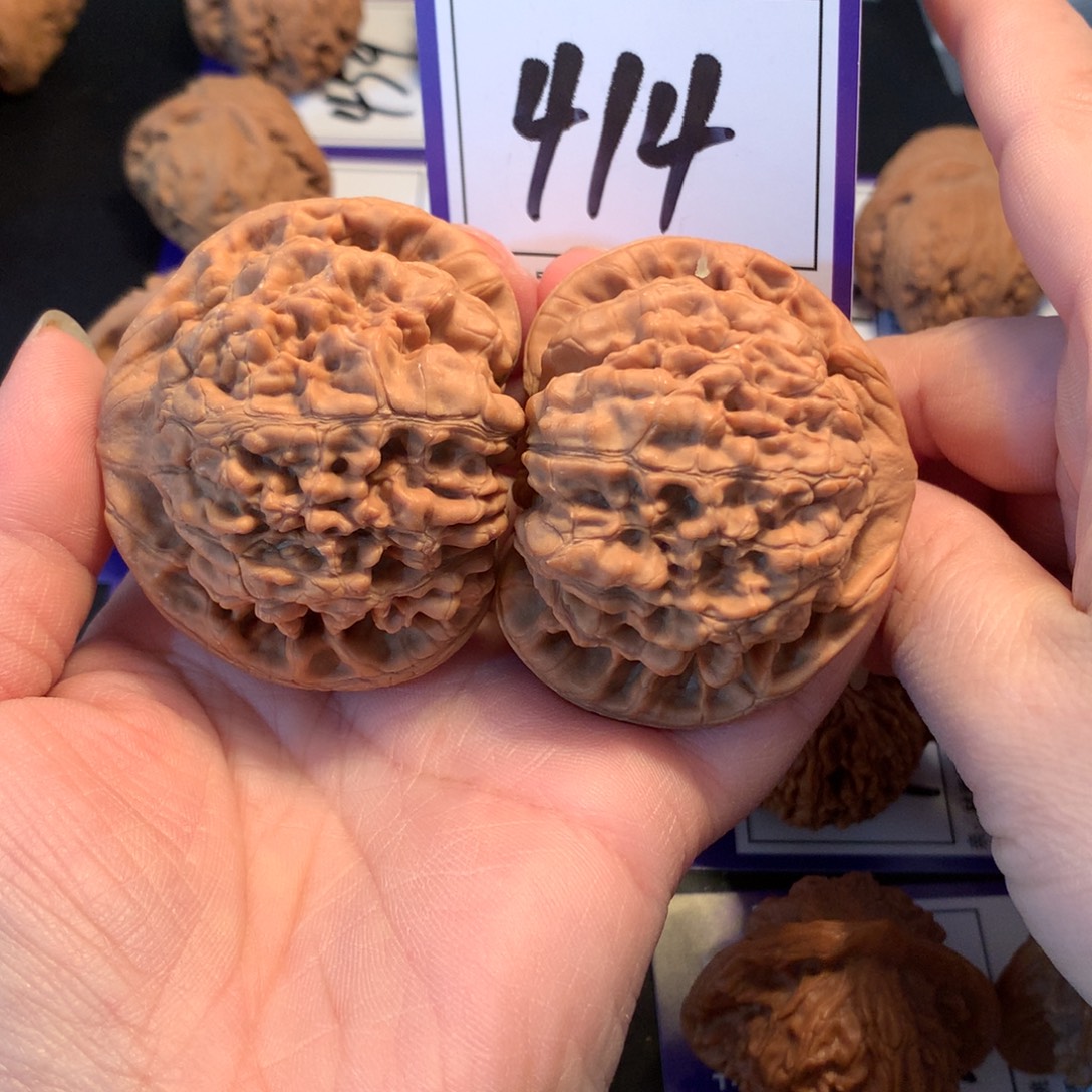 核桃414官帽5.3全品