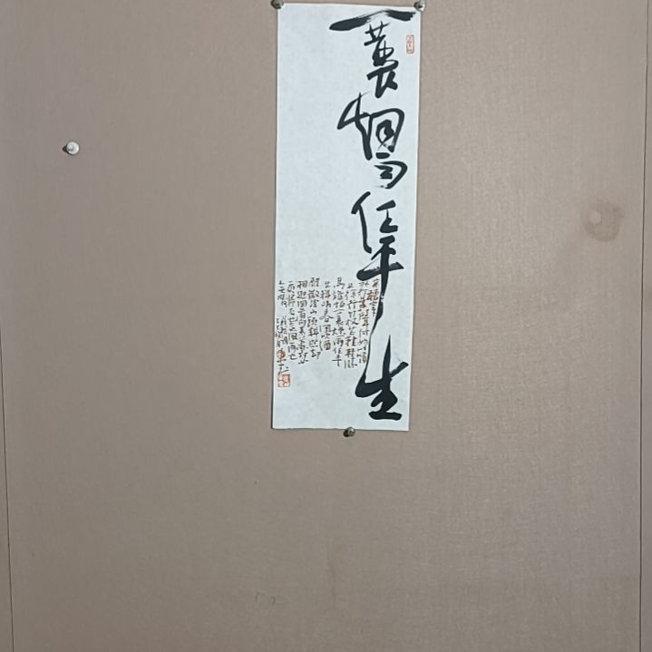 书法一蓑烟雨任平生是的人