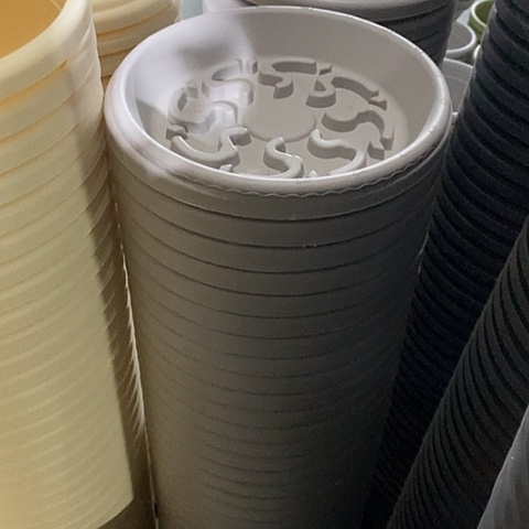 树脂四季4号灰白带托5套