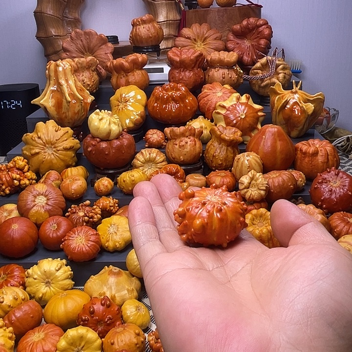 全***无大叶紫檀（黑酸枝木类）