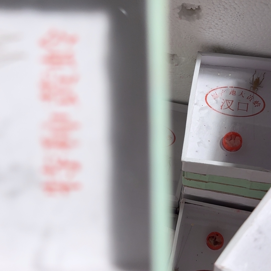 断***兄蟋蟀蝈蝈我在外面吃饭呢啊