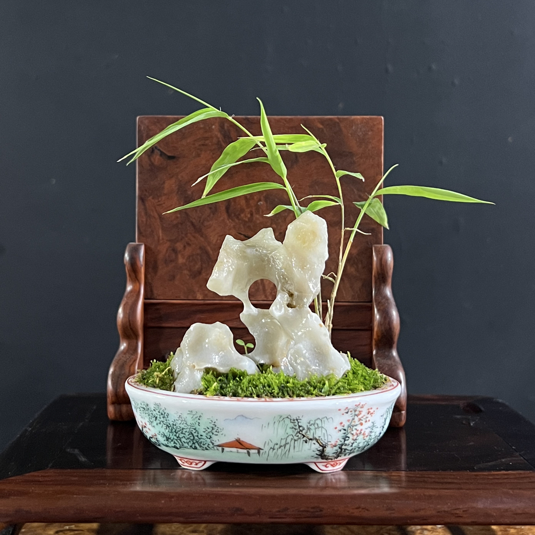 盆景，内门竹，手绘山水盆，玉玲珑石，盆长8，高度10