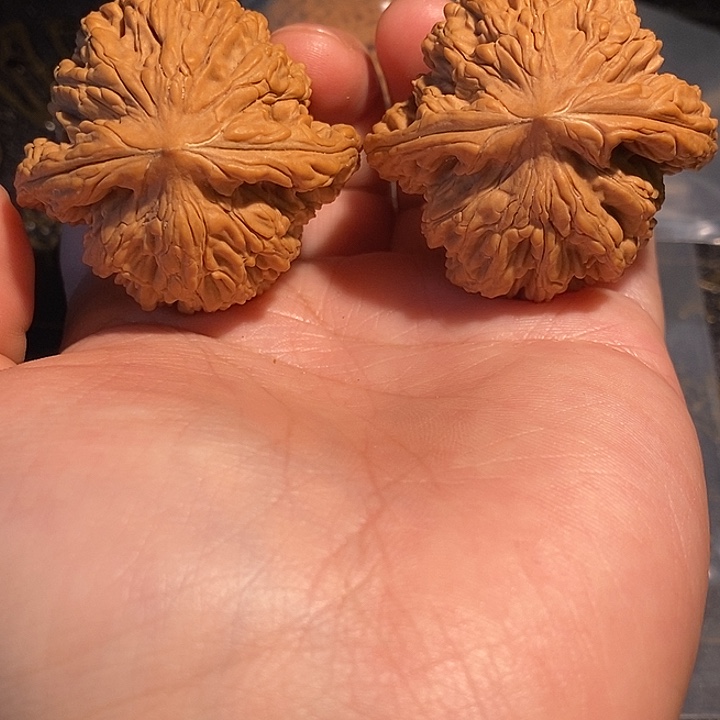 国***员手串/手链核桃42 虎头