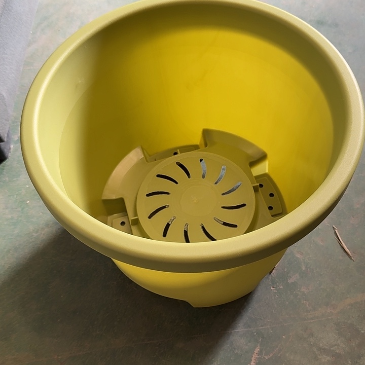 球根盆4号果绿无托5个