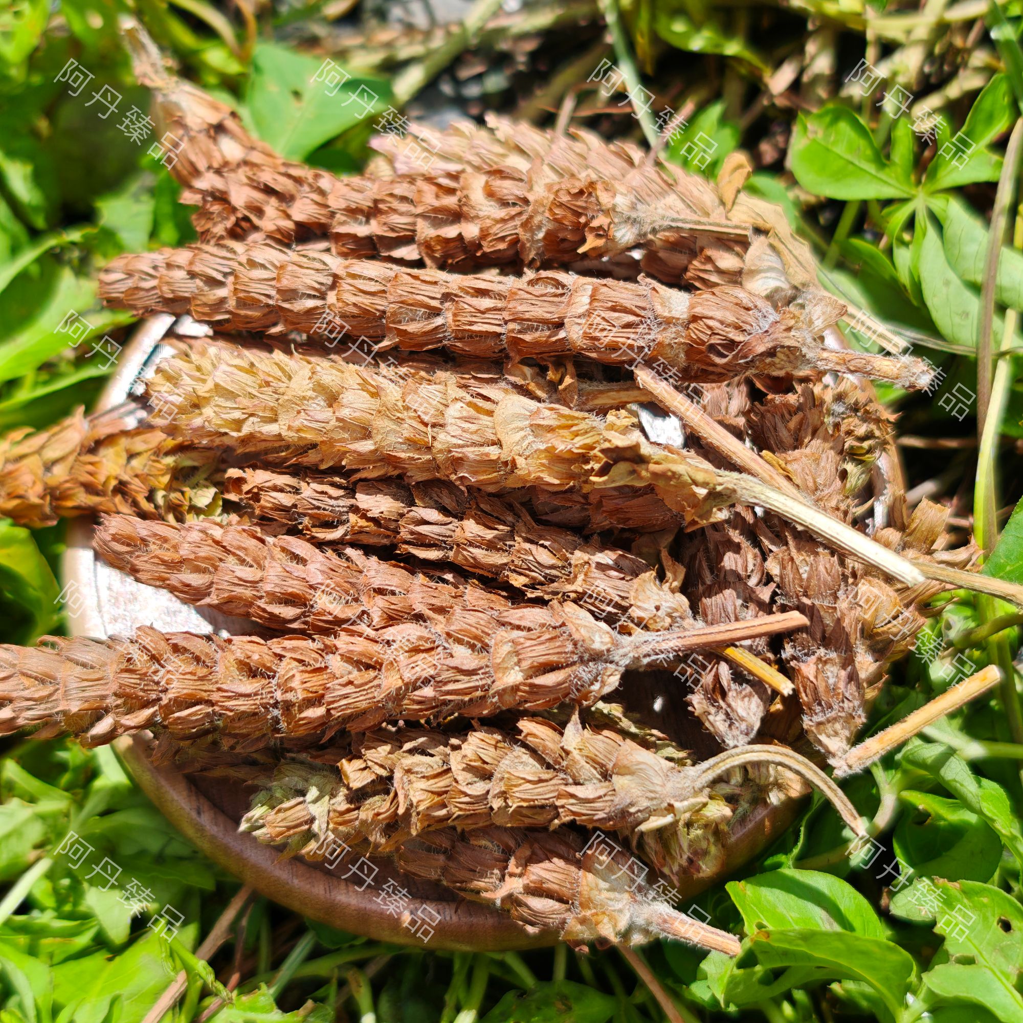 【阿丹臻品】夏枯草 农家土特产 可搭配枸杞