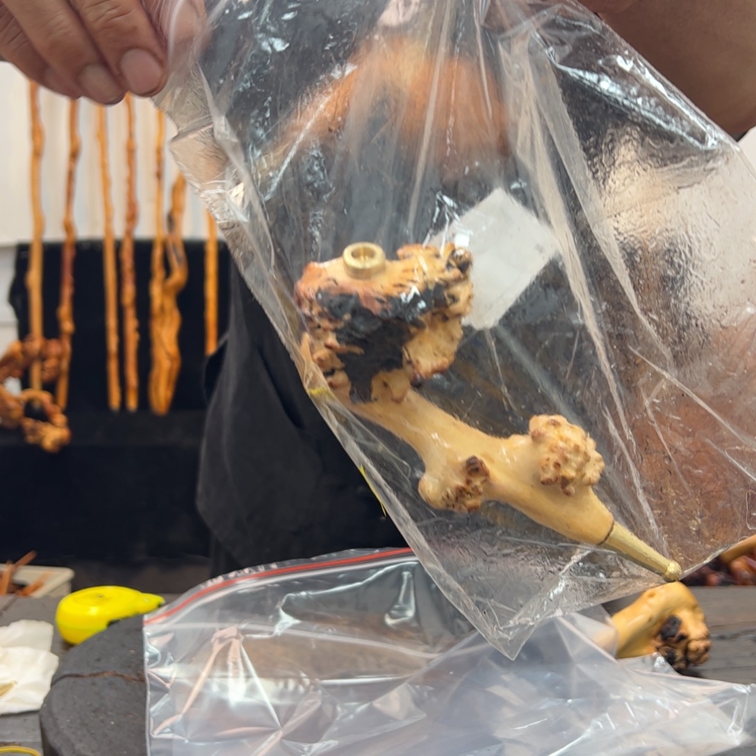 黑果木其他黑果木983