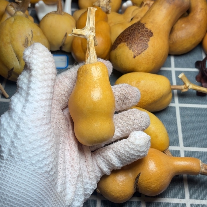 怒***时葫芦坑66666666666