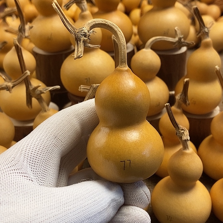 文玩葫芦 完美主义者 慎拍77