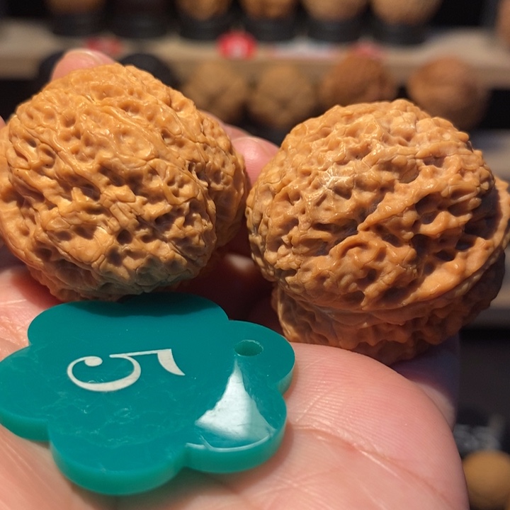 木质类唐狮小金蟾36尺寸