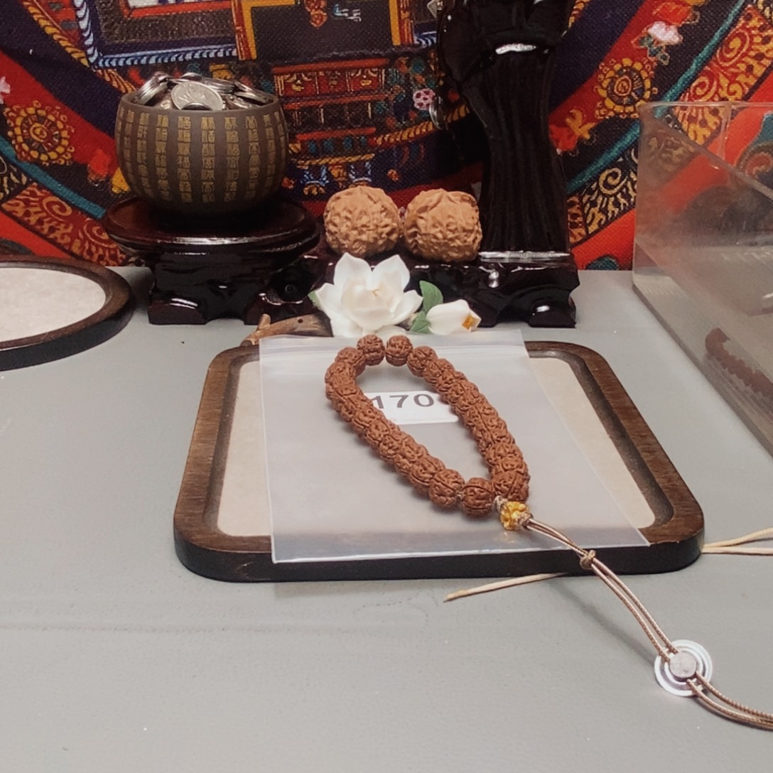 小***虫手串金刚菩提卡14