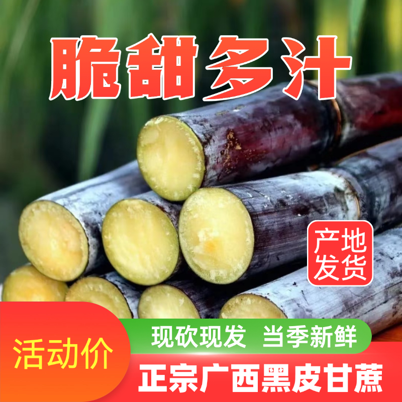 广西黑皮甘蔗应季新鲜现砍现发脆甜多汁水果