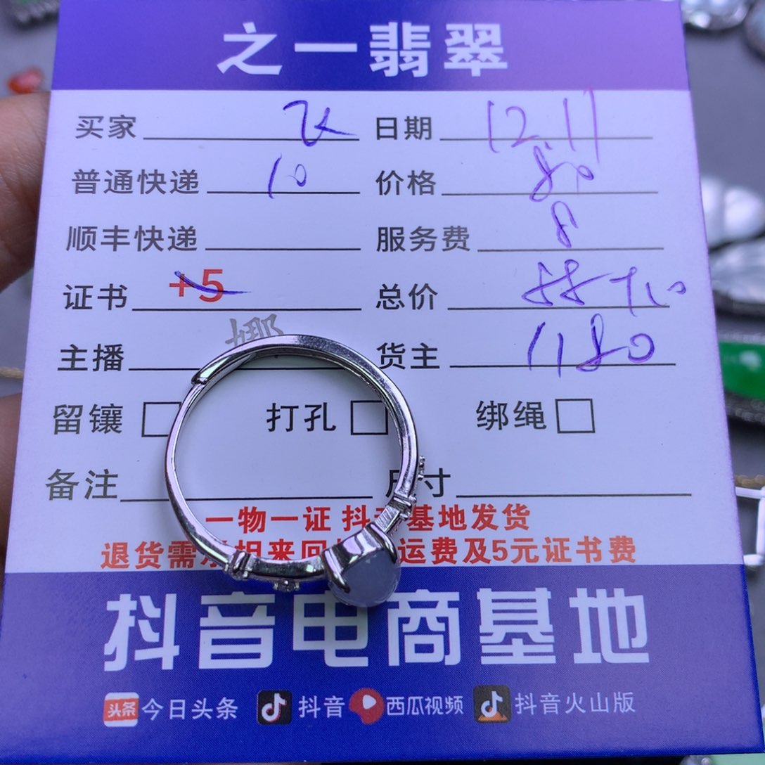 颈饰银S925镶嵌翡翠飞*